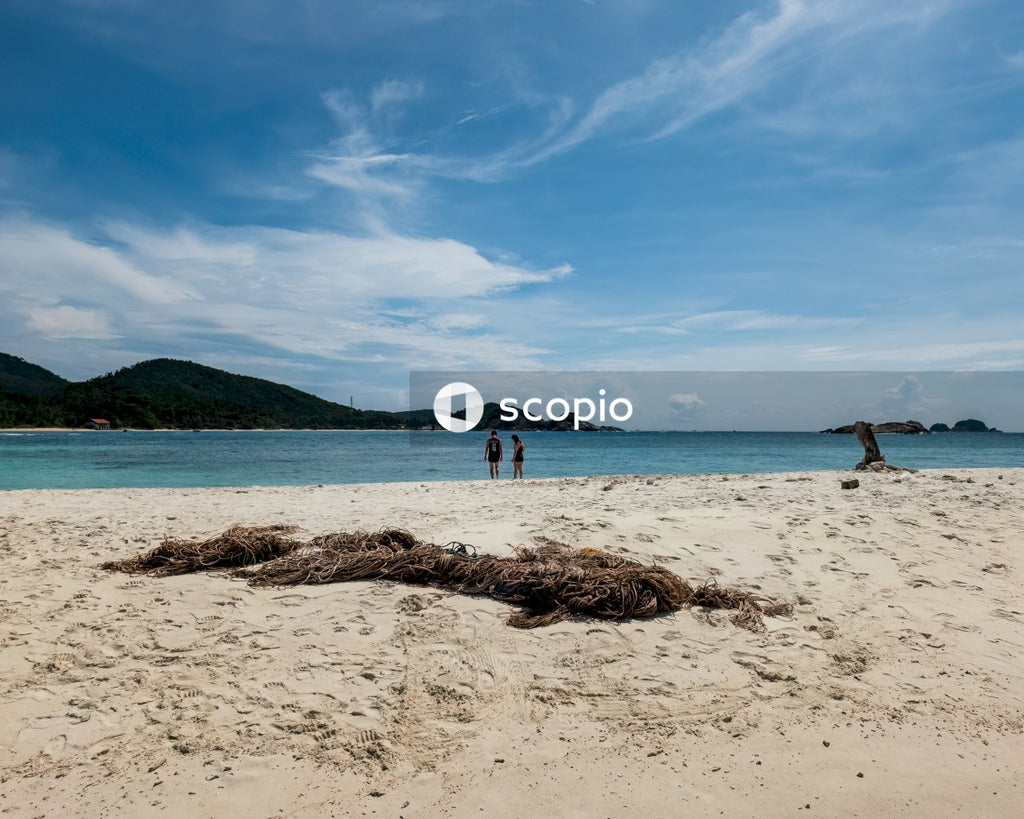 Person standing on beach