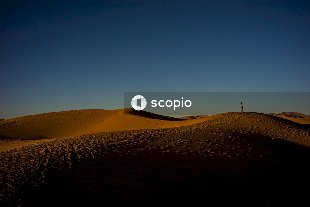 Person standing on brown sand
