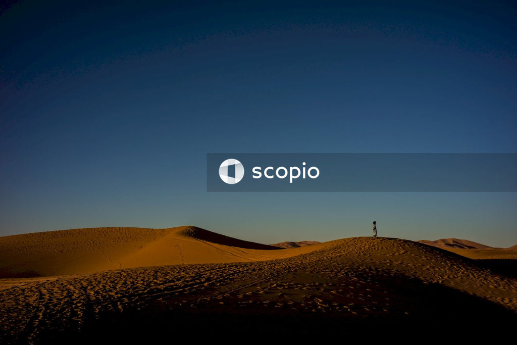 Person standing on brown sand