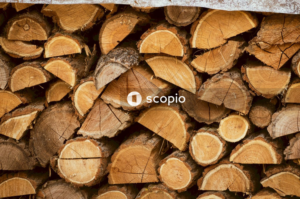 Pile of brown wood logs