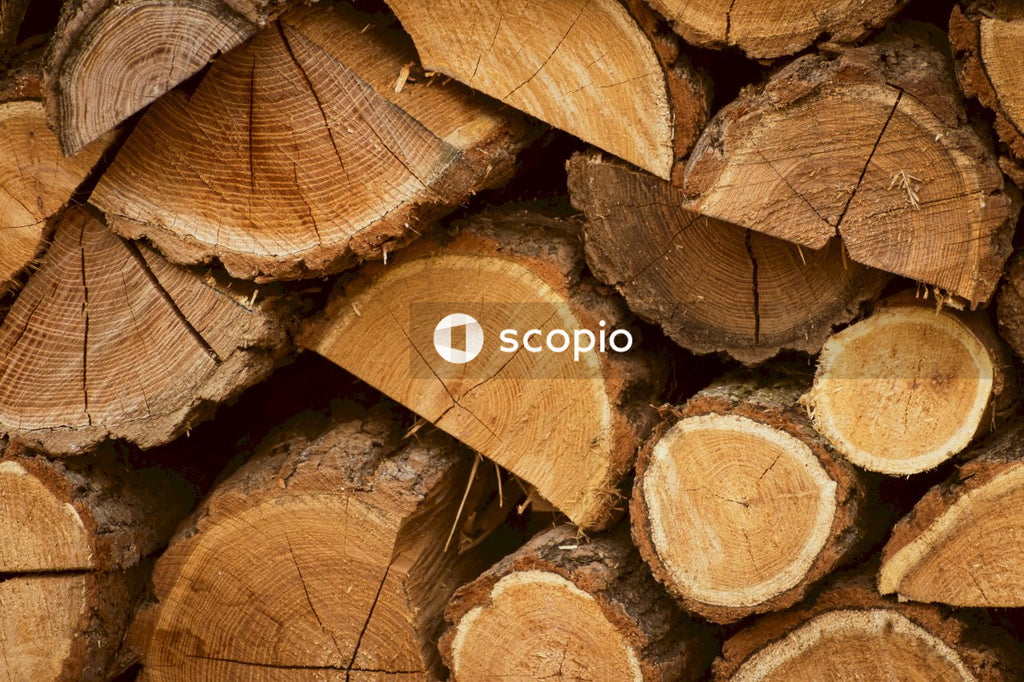 Pile of brown wood logs