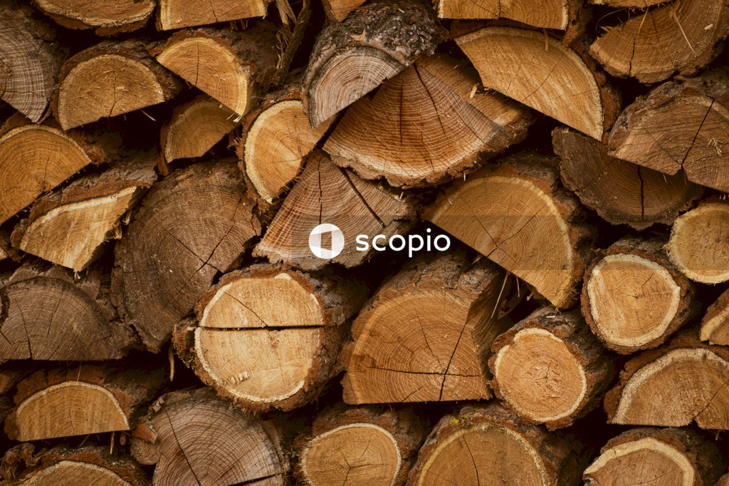 Pile of brown wood logs