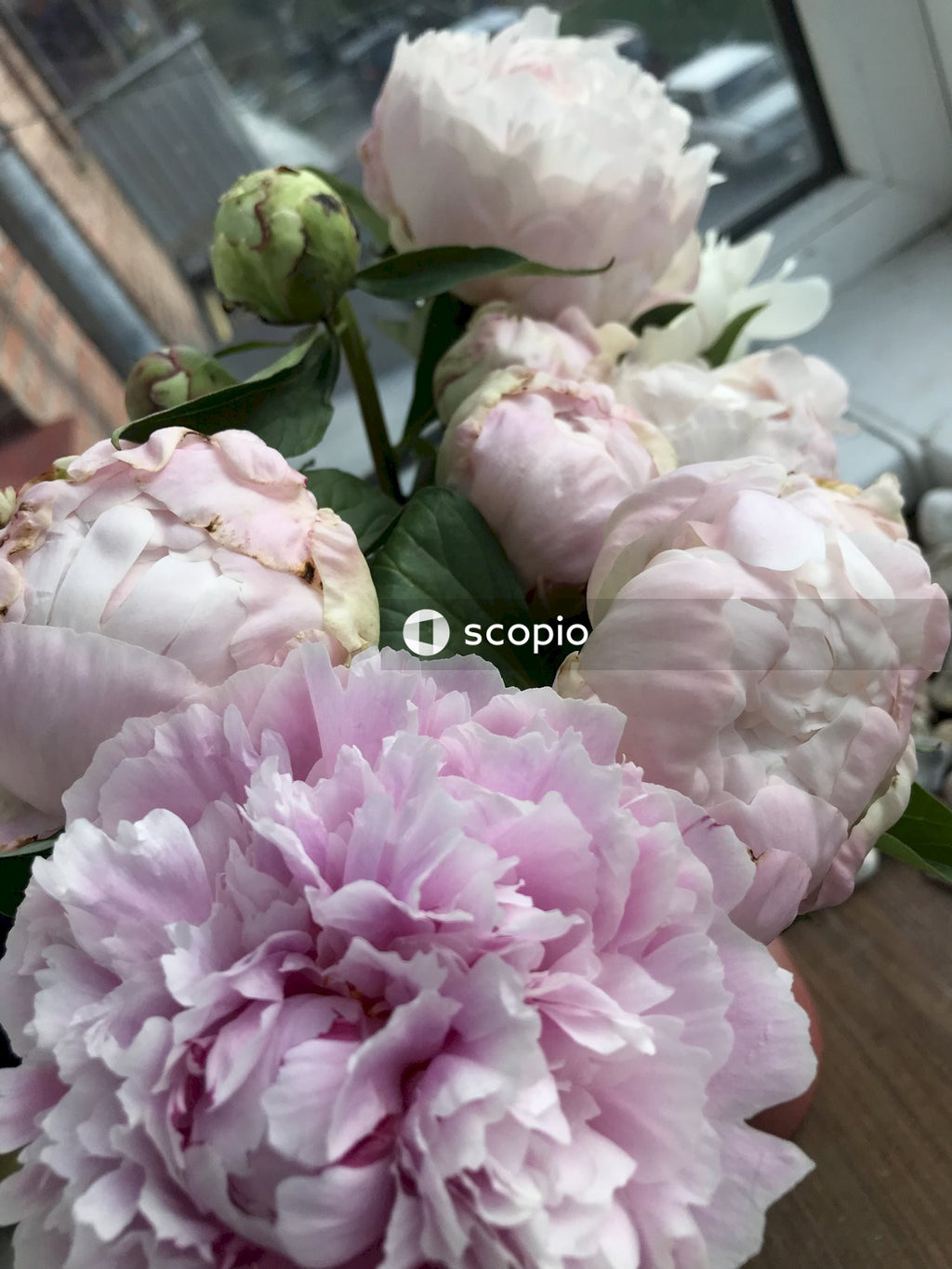 Pink and white flower bouquet