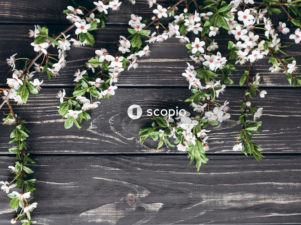 Pink and white flowers on brown wooden surface