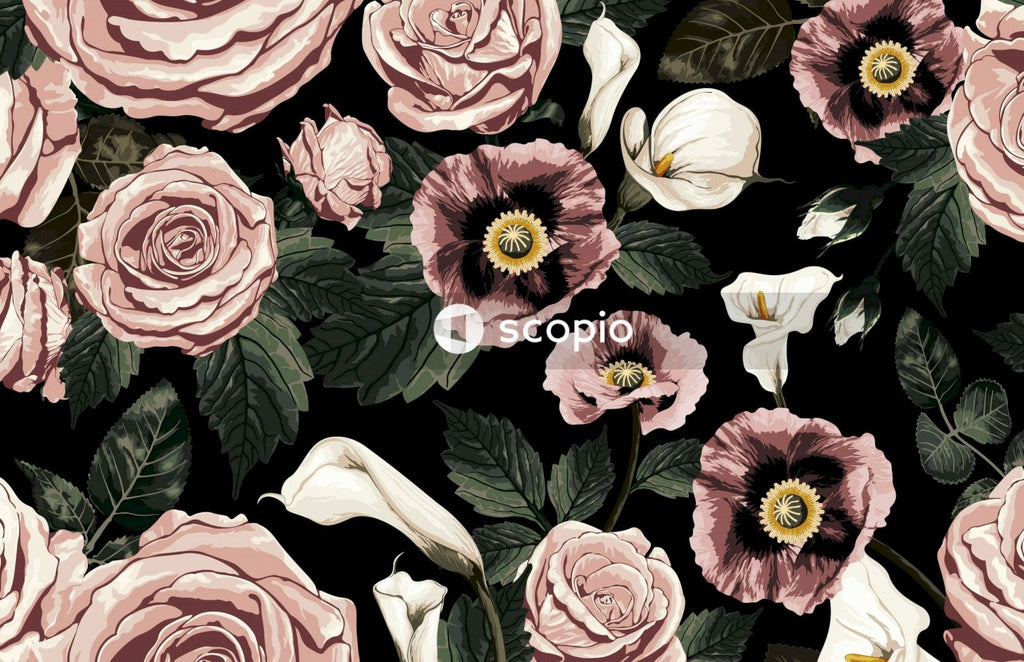 Pink and white roses in bloom