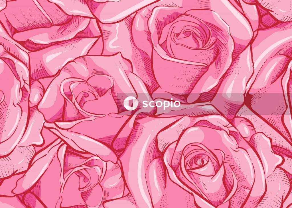 Pink rose in close up