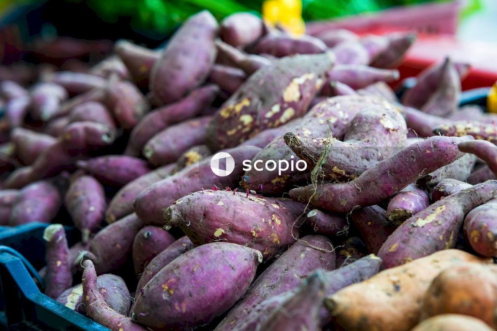 Purple and brown root crops