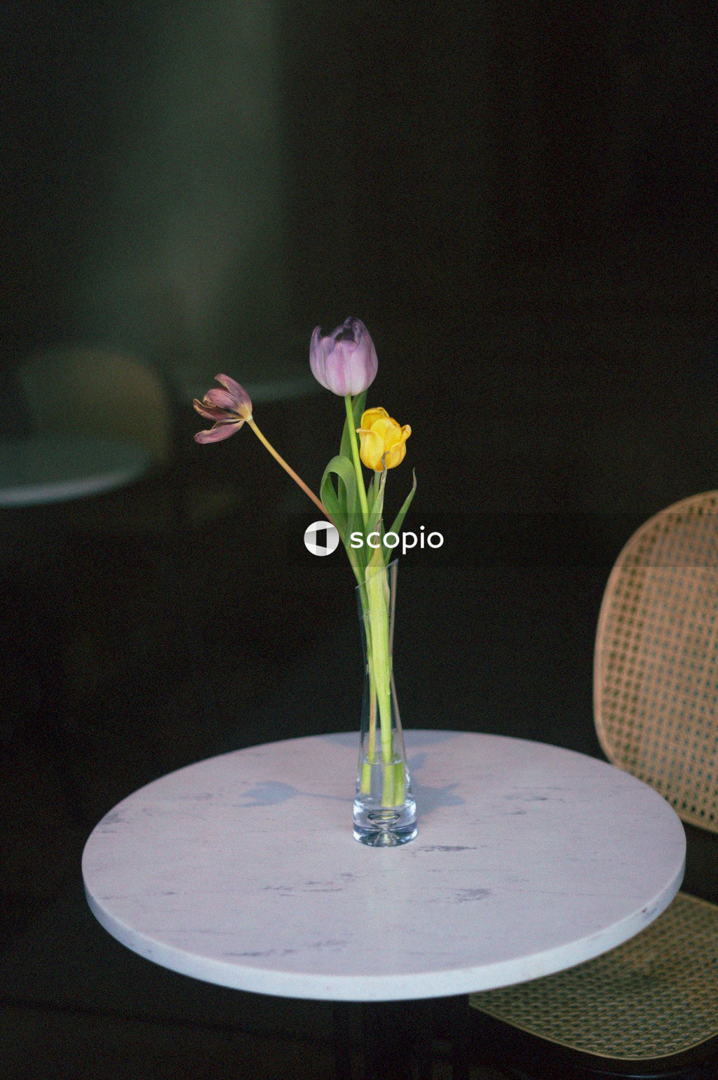 Purple moth orchids in clear glass vase on white round table