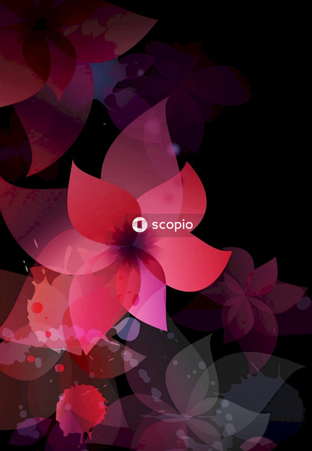 Red and black flower illustration