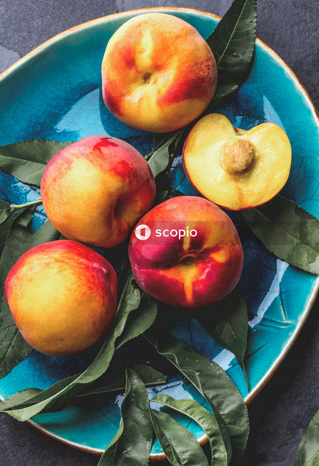 Red apples on blue and white ceramic plate