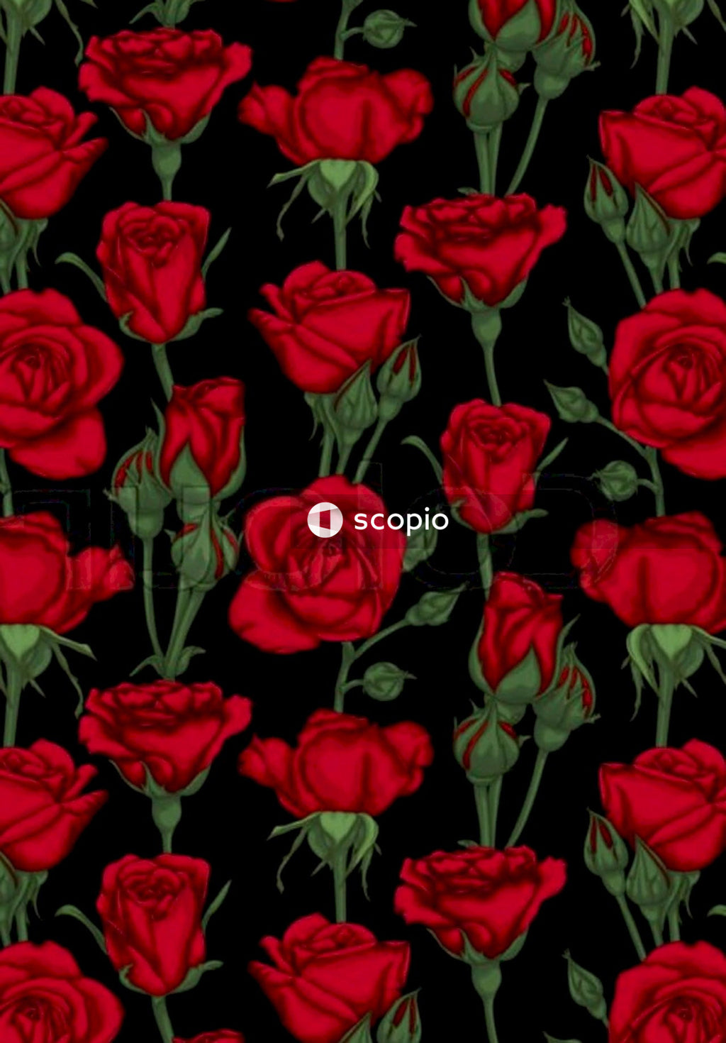 Red roses in close up