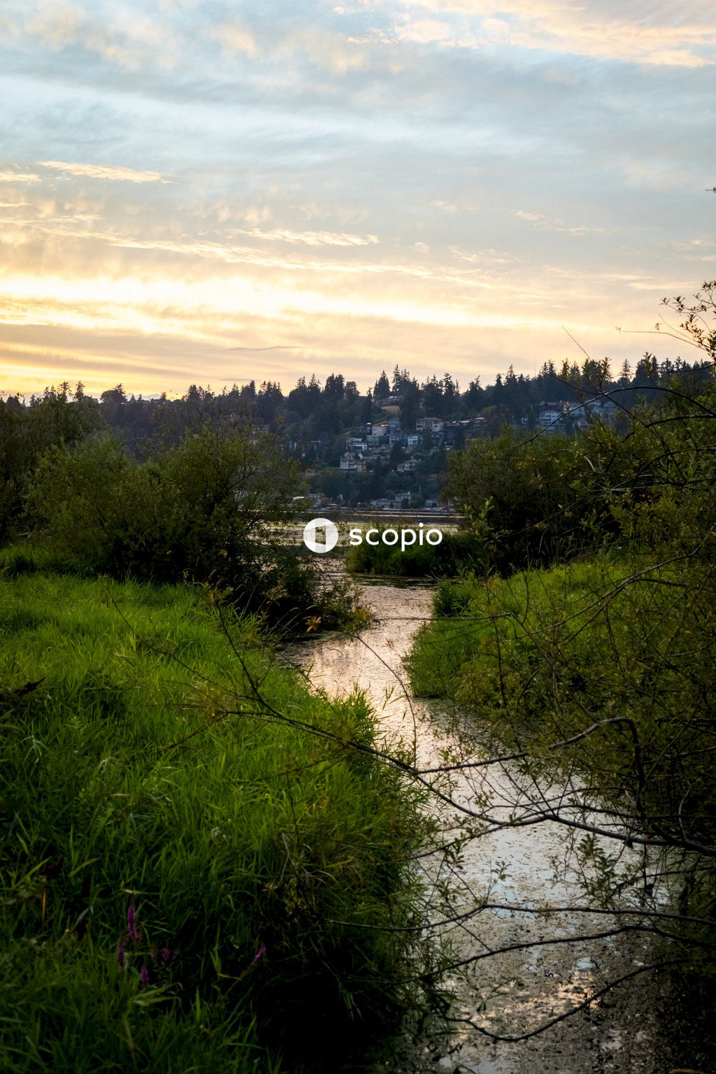 River at Golden Hour