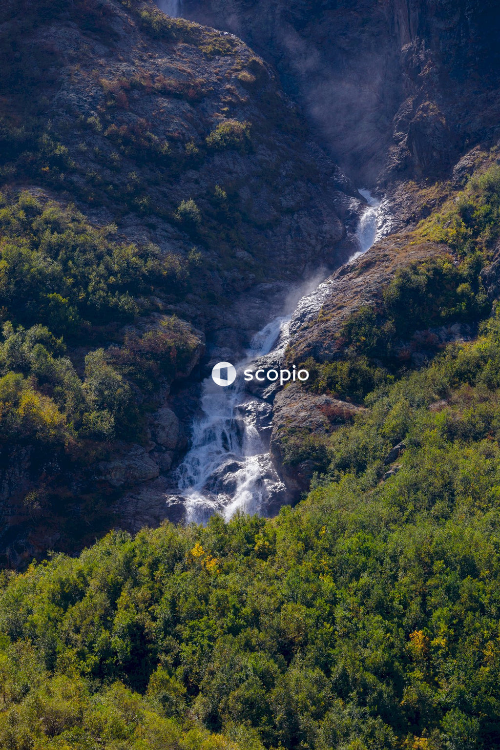 River in the middle of green trees