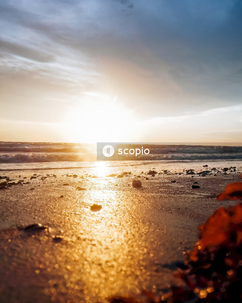 Sea waves crashing on shore during sunset