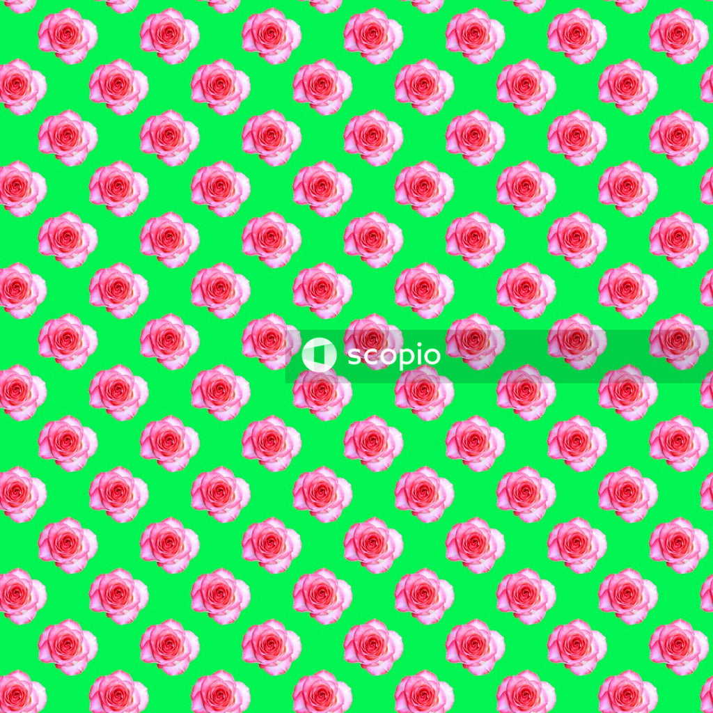 Seamless pattern with a blooming rose bud on a light green background. Modern style isometric concept.