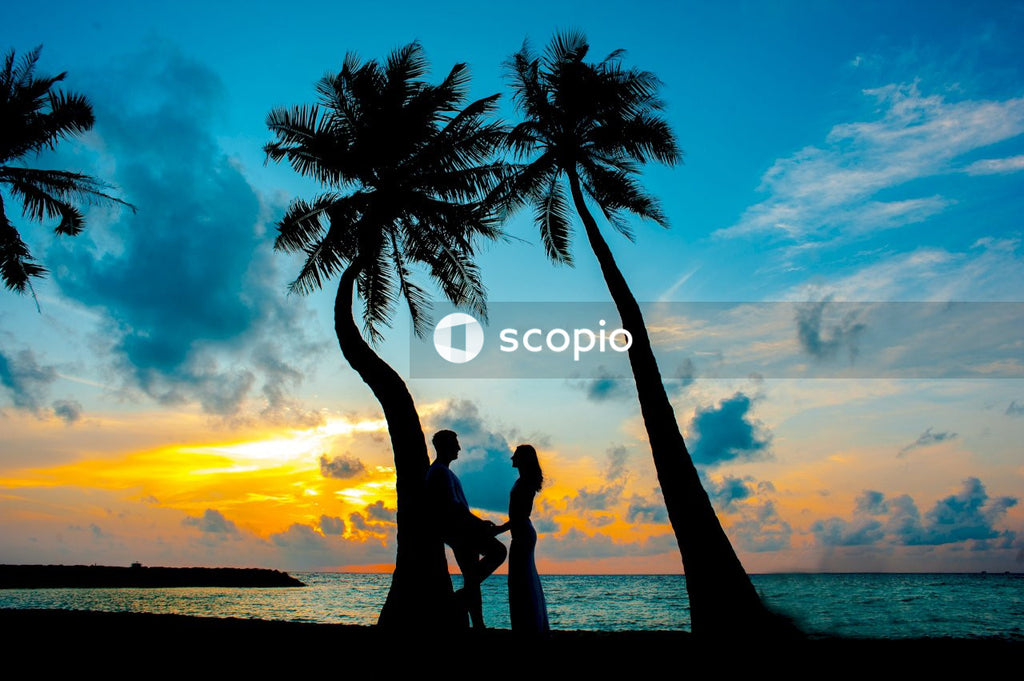 Silhouette of couple kissing under palm tree during sunset