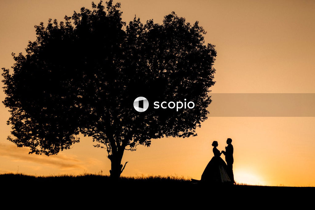 Silhouette of couple standing near tree during sunset