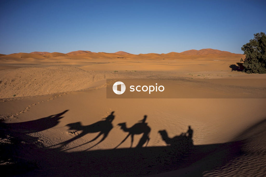 Silhouette of people walking on desert