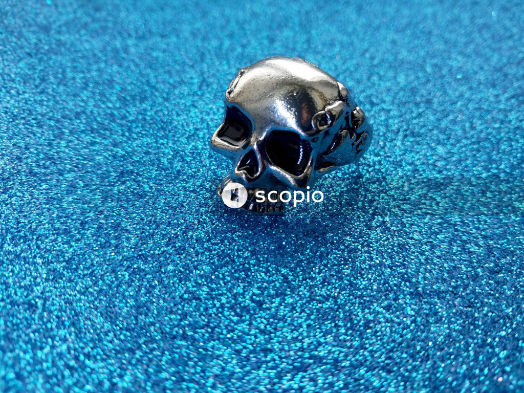 Silver and black skull accessory