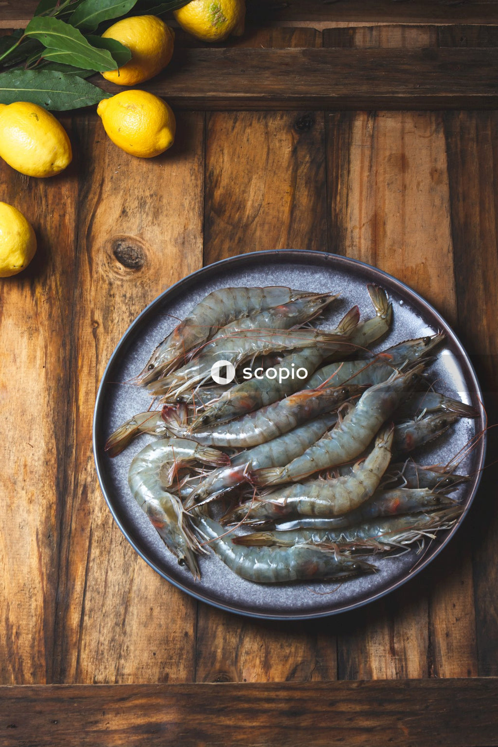 Silver fish on stainless steel bowl