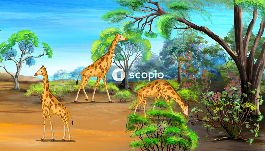 Three giraffes on brown sand