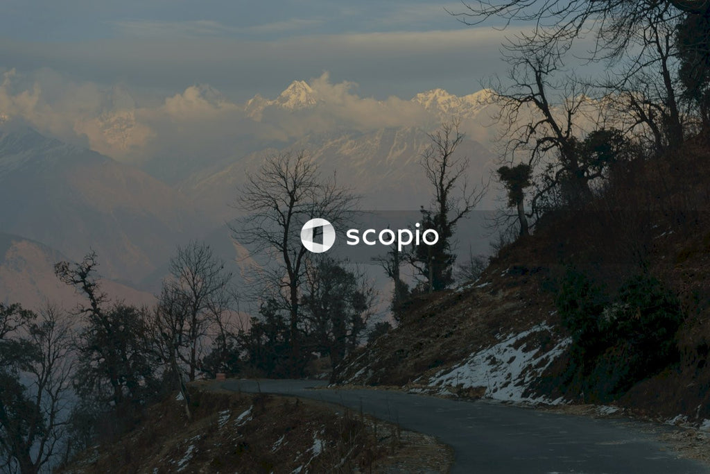 Trees on mountain