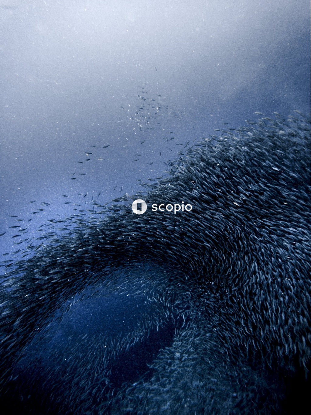 Water droplets on clear glass