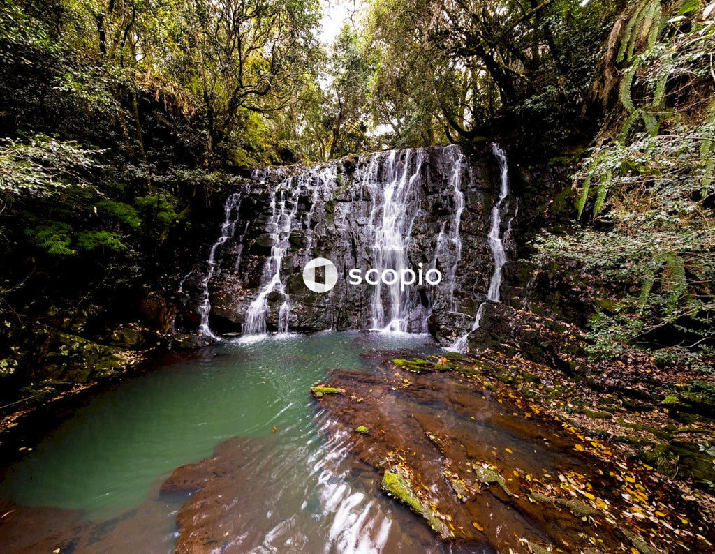 Water falls in the middle of the forest