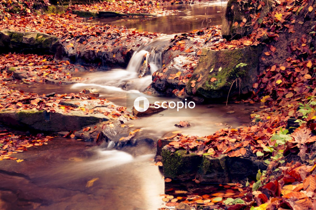 Water falls with green moss and brown leaves