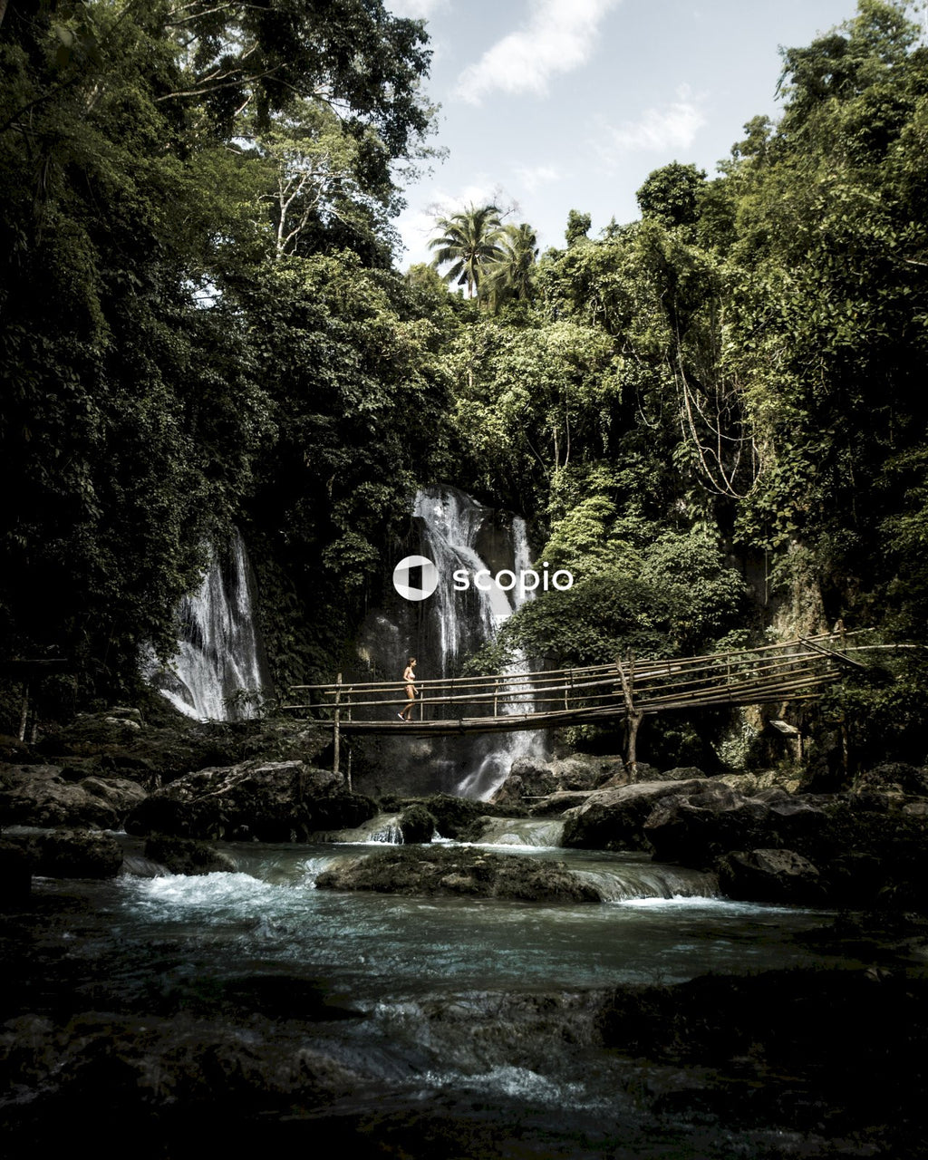 Waterfalls in the middle of green trees