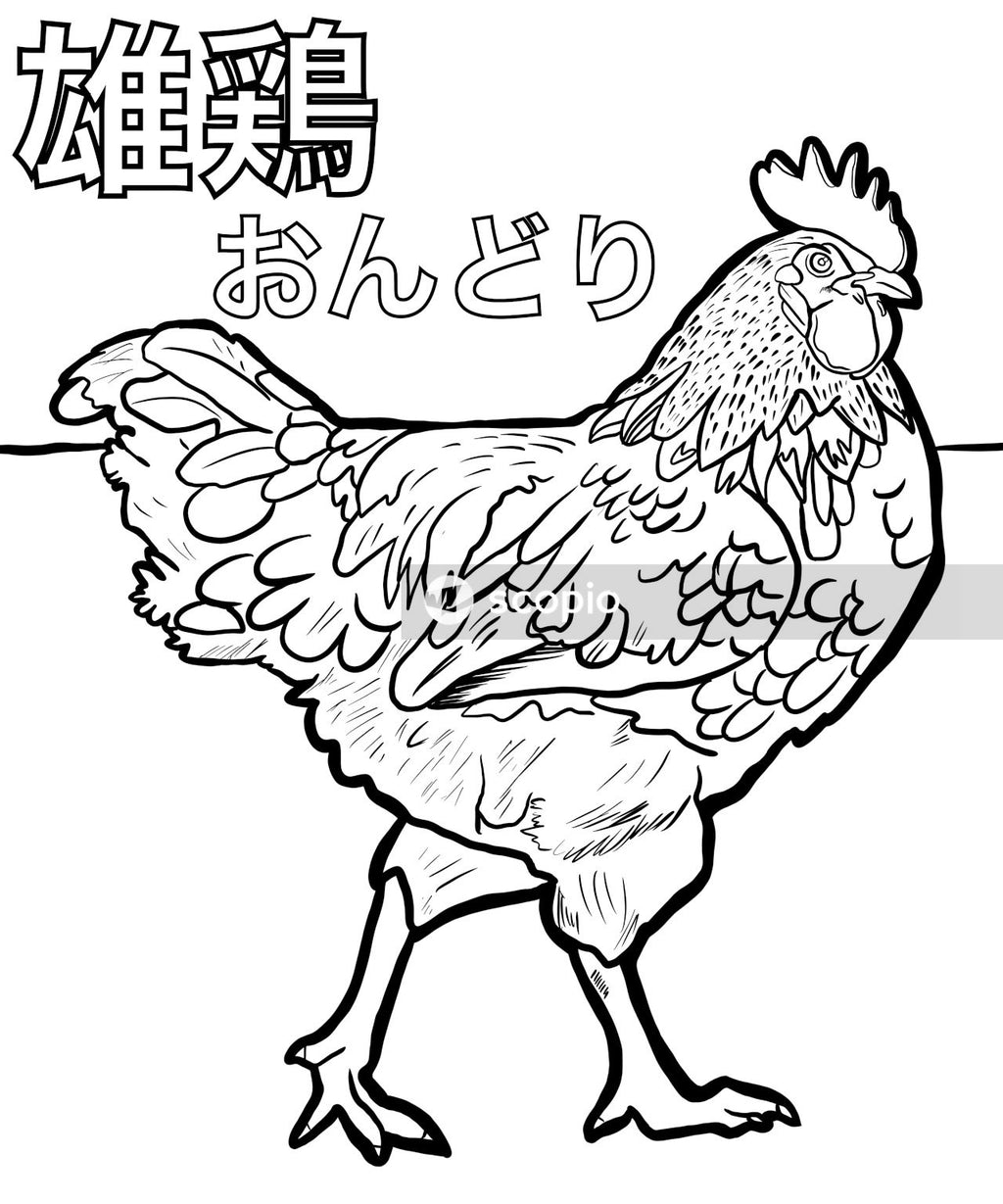 White and black rooster illustration