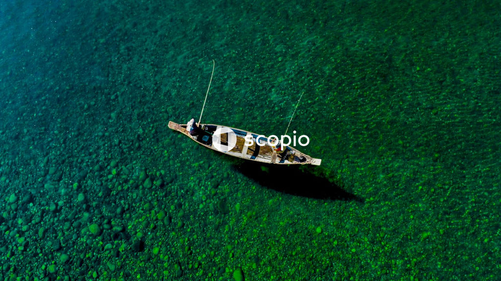 White and brown boat on green water