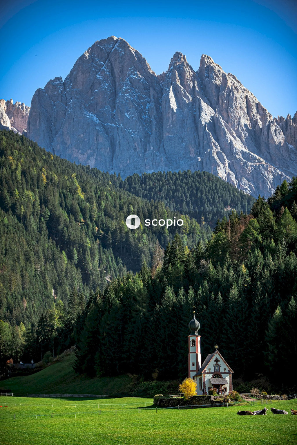 White and brown house near green trees and mountain
