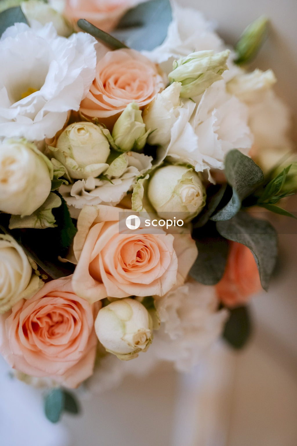 White and pink roses bouquet