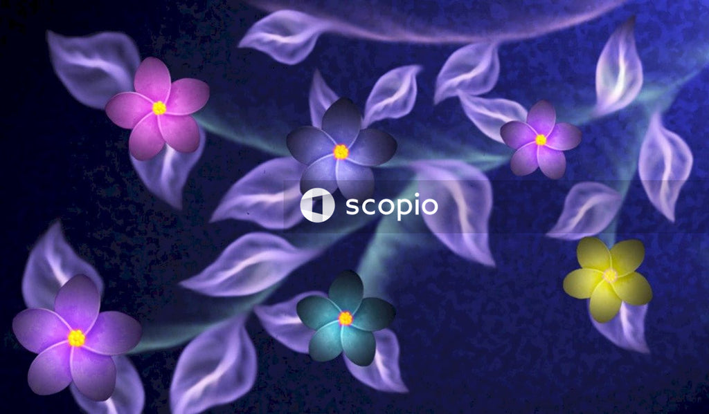 White and purple 5 petaled flower