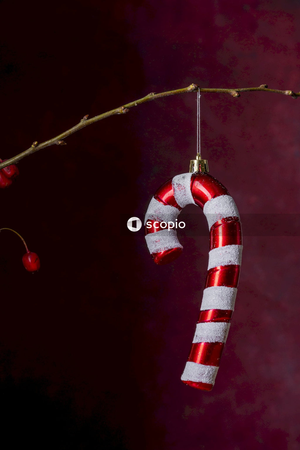 White and red candy cane