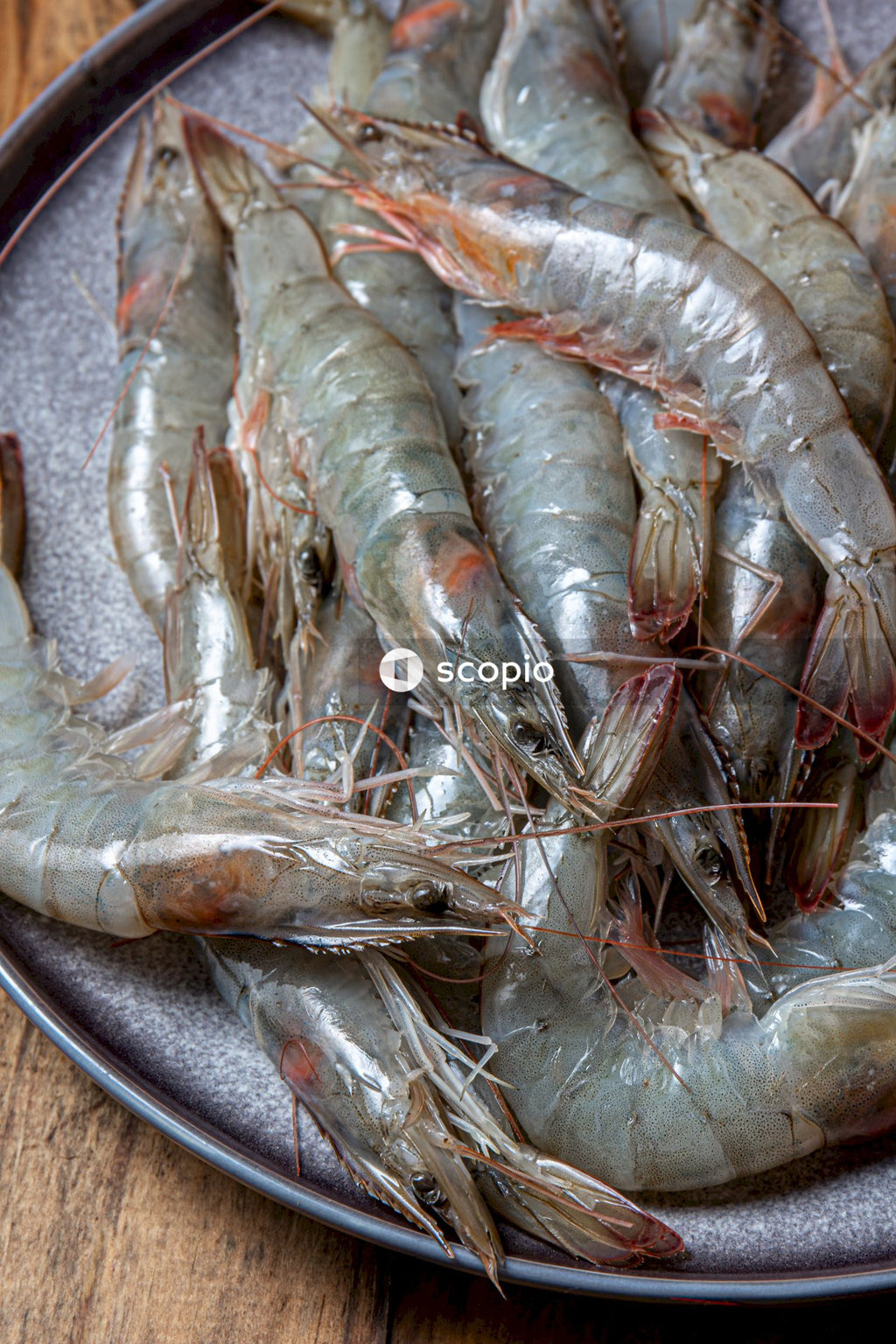 White and red fish on gray tray