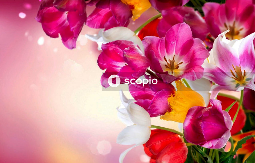 White and red flowers on white ceramic vase