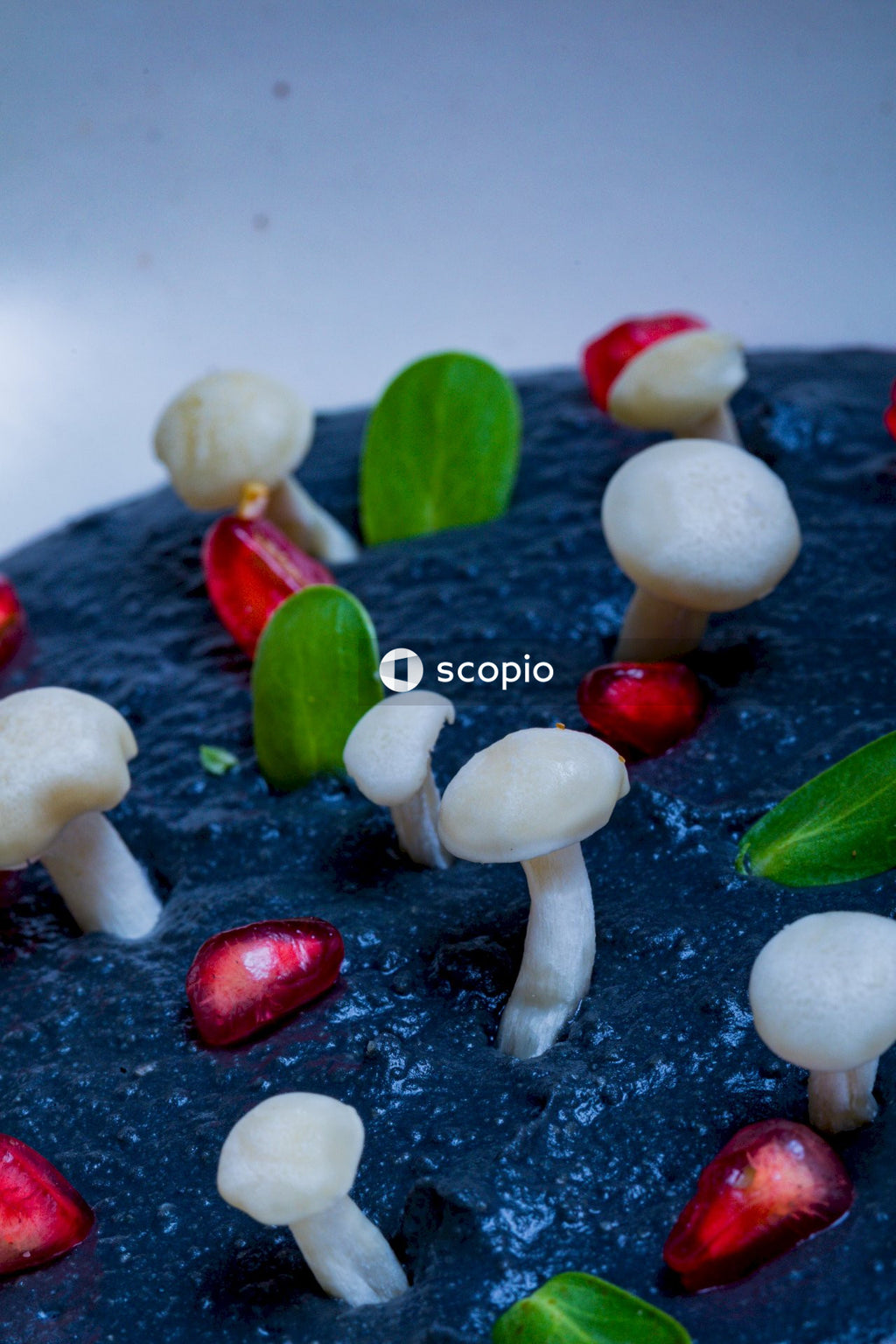 White and red mushroom on black and white surface