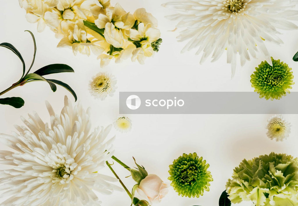 White and yellow flowers on white surface