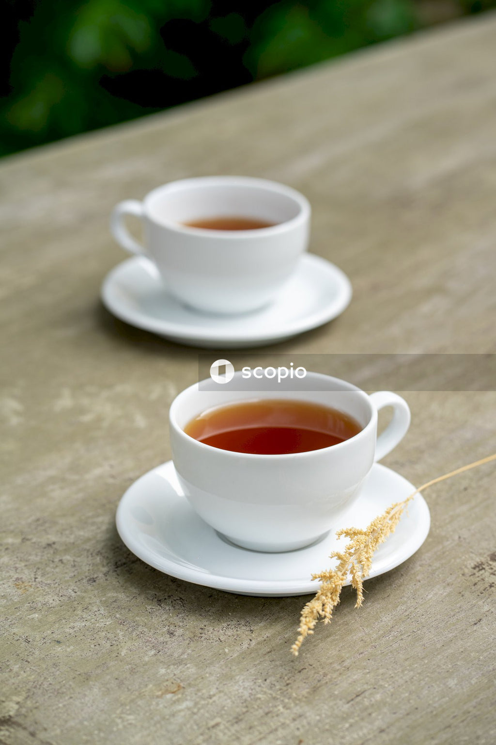 White ceramic teacup on white ceramic saucer
