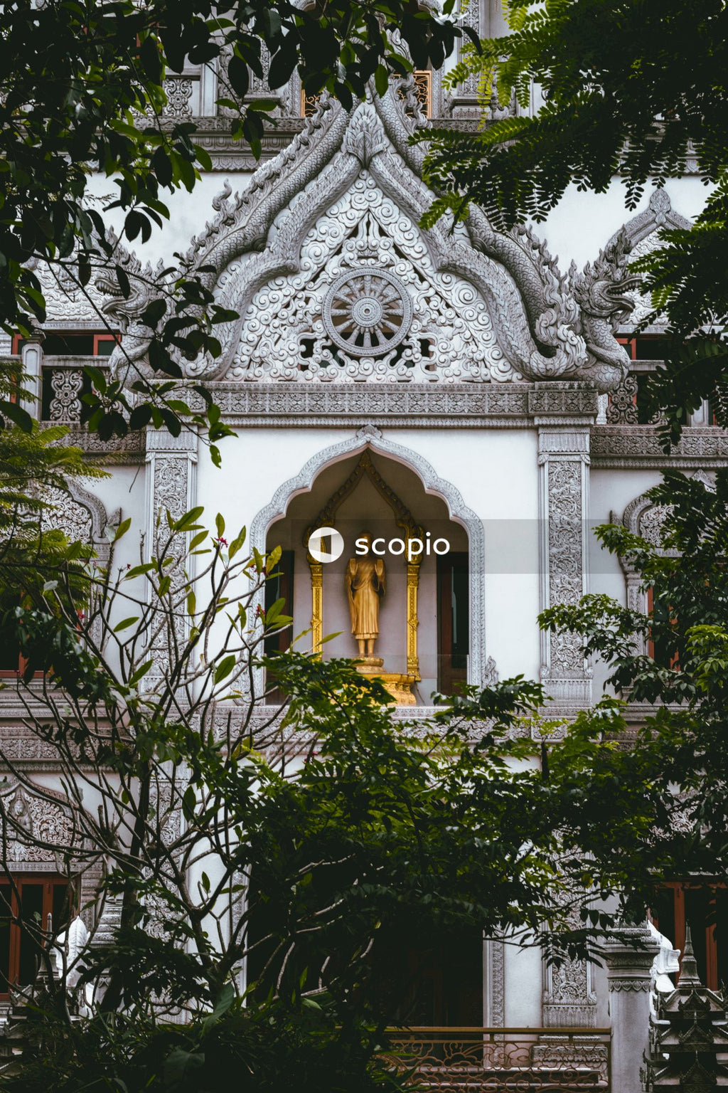 White concrete building with green plants