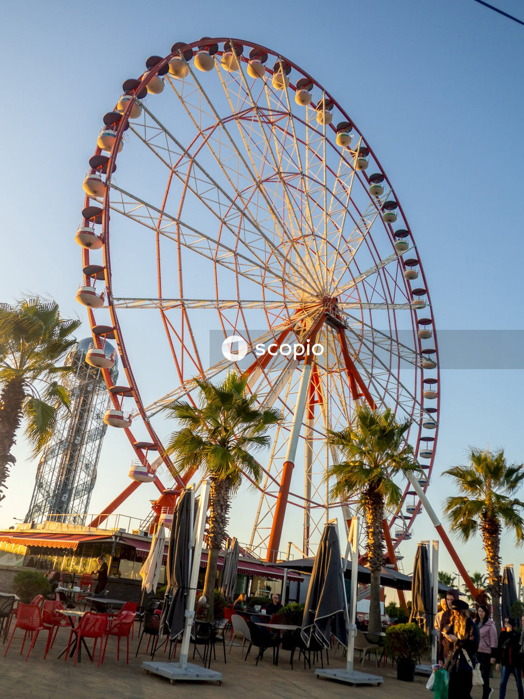 White ferris wheel near green trees
