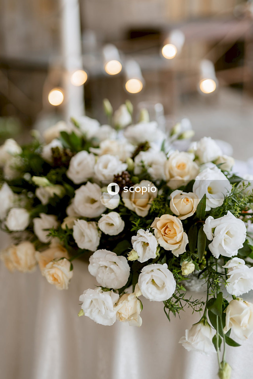 White roses in tilt shift lens