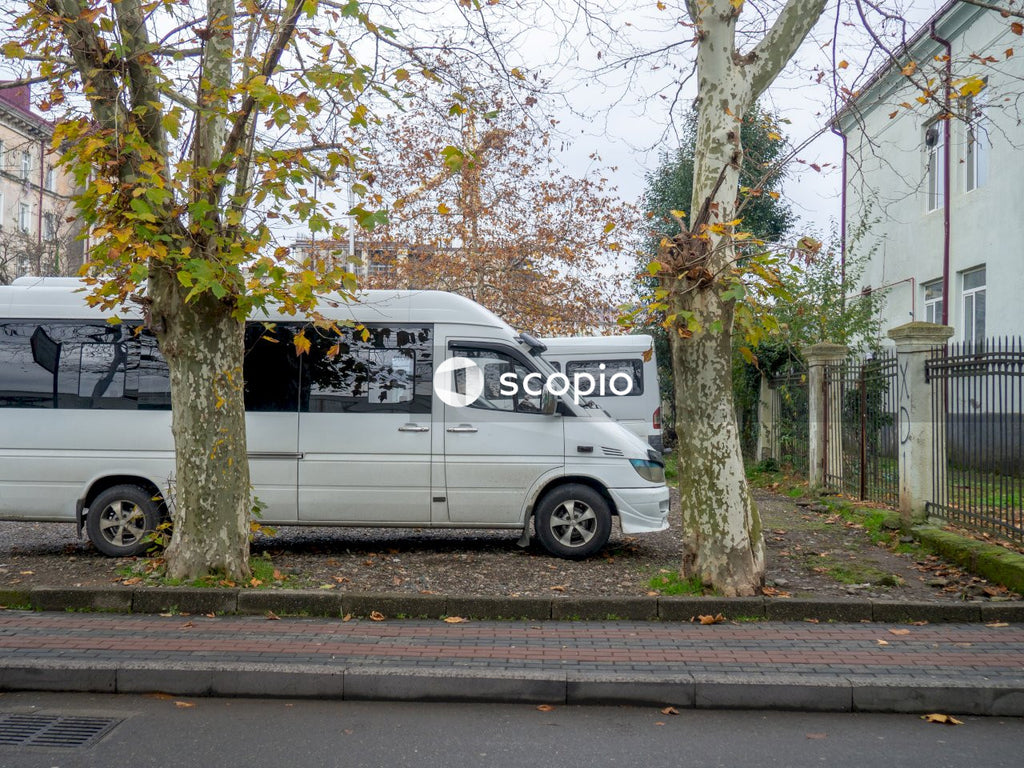 White van parked beside green tree
