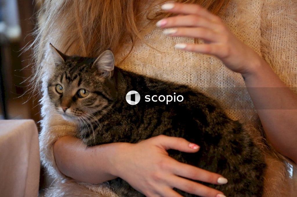 Woman hugging brown tabby cat