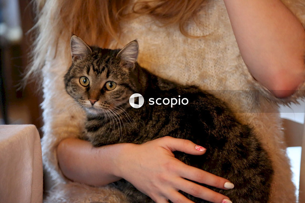 Woman hugging brown tabby cat