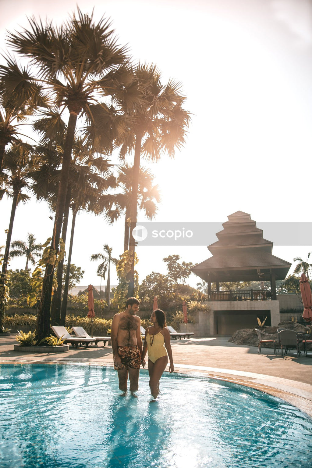Man and woman standing in swimming pool near palm tree