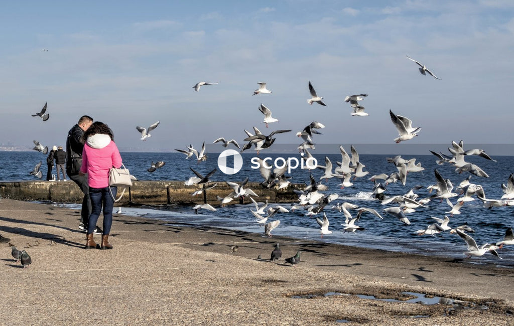 Woman in pink shirt and black pants standing on beach with flock of birds flying over