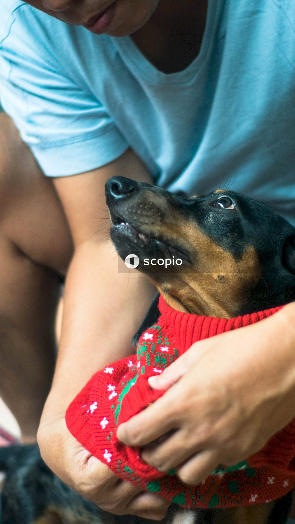 Woman in red tank top hugging black and brown short coated dog